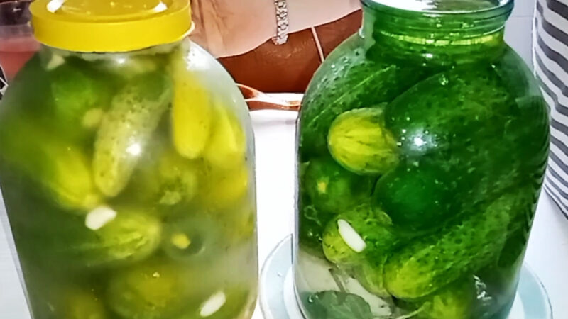 Малосольные огурцы