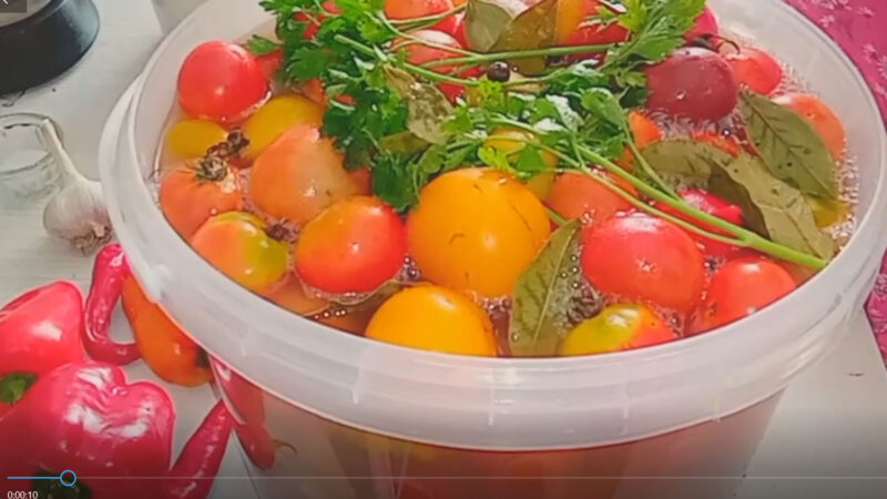 Помидоры соленые на балконе🍅🍅🍅