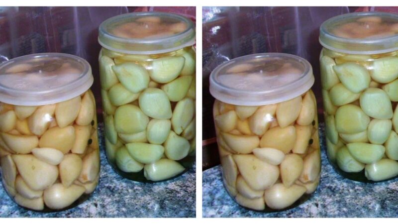 Малосольный чеснок