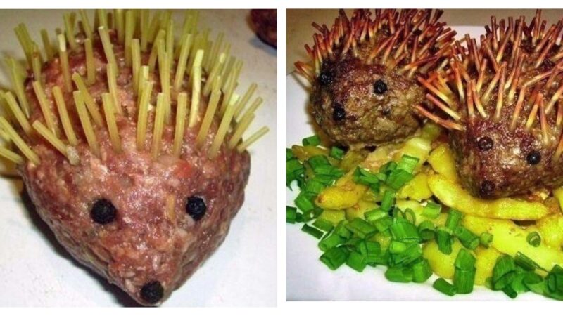 Зразы детям «Весёлые ёжики»