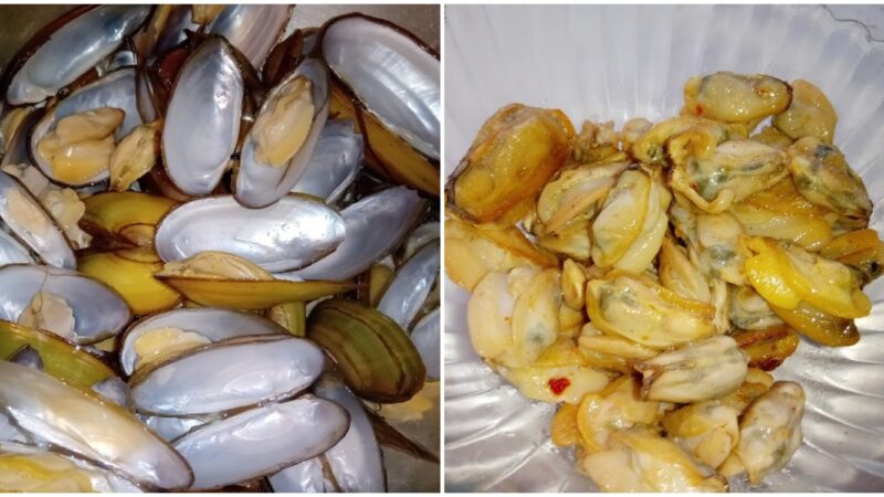 Как приготовить речных мидий