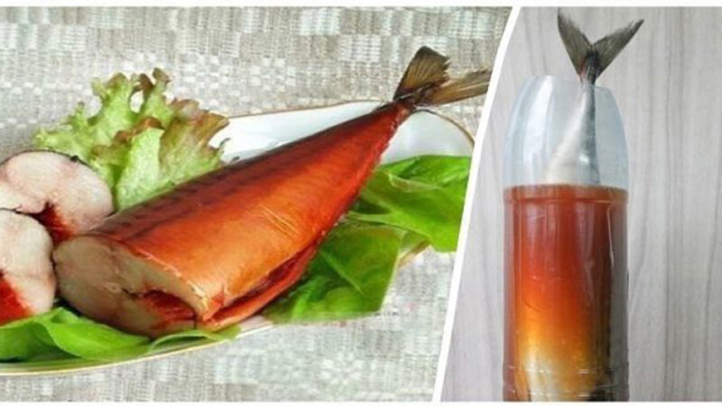 СКУМБРИЯ В БУТЫЛКЕ — настоящий деликатес!
