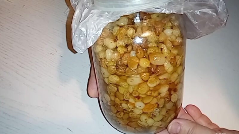 Изюм в уксусе — китайская медицина