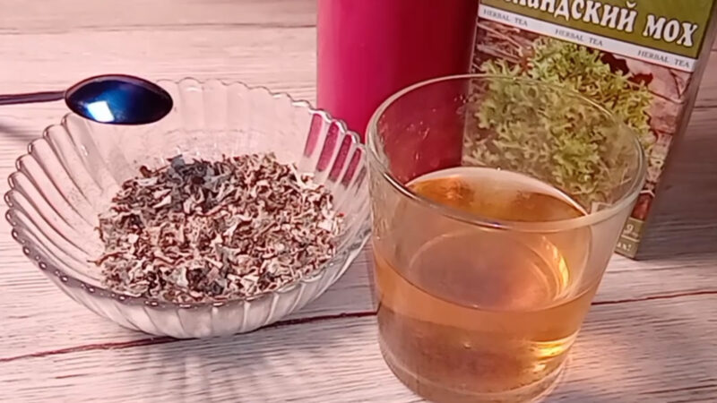 Как правильно заварить исландский мох