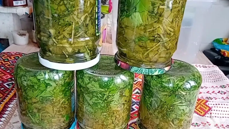 Щавель на зиму