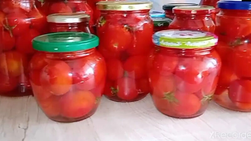 Маринованные помидоры🍅 без зелени