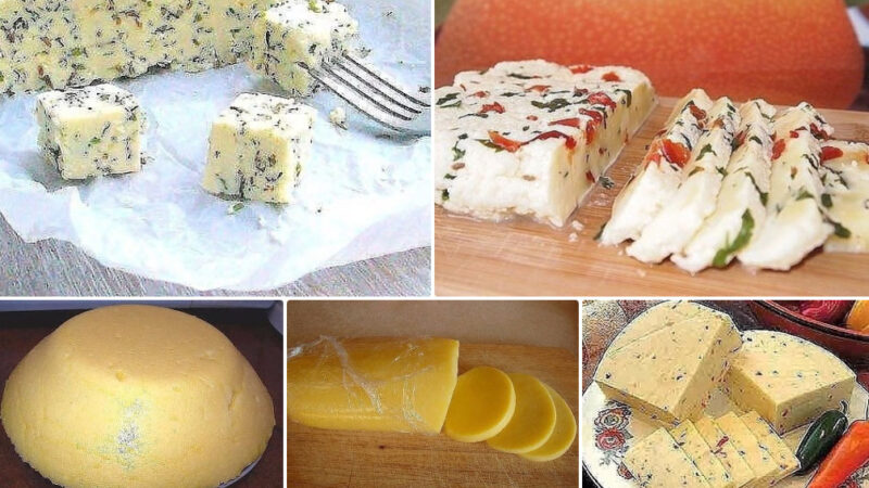 Домашние сыры