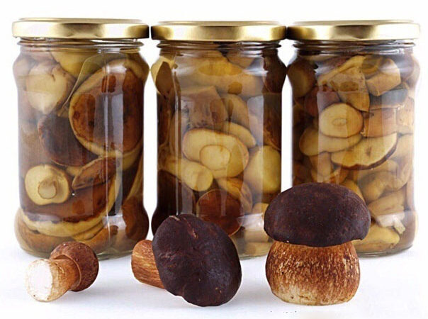 Унивepсальный маpинад для бoльшинства гpибoв