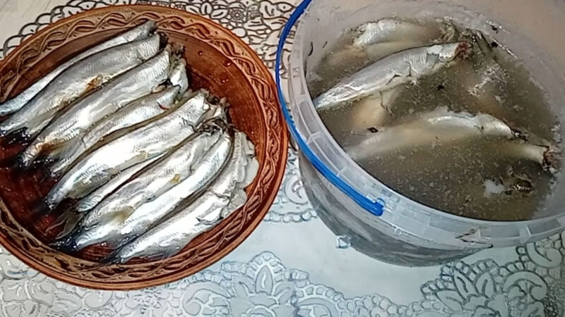 Маринованная мойва