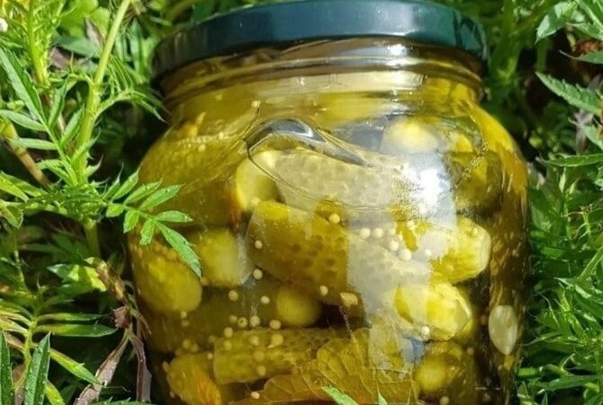 Очень вкусные маринованные огурцы