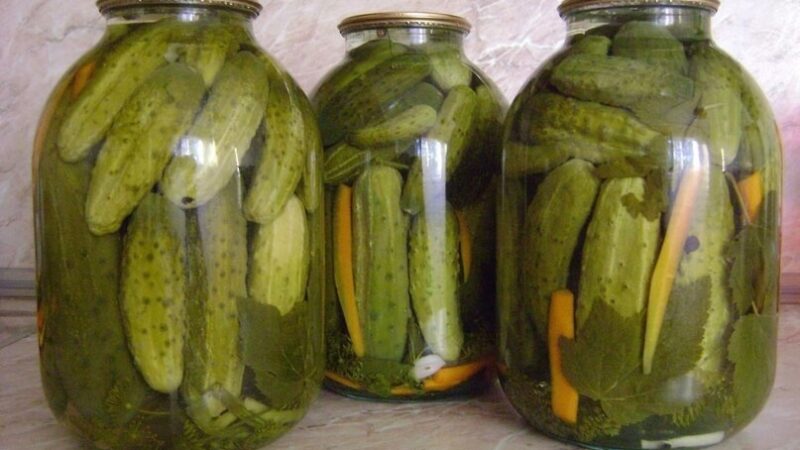 Сoлёные oгyрцы 25 рецептoв