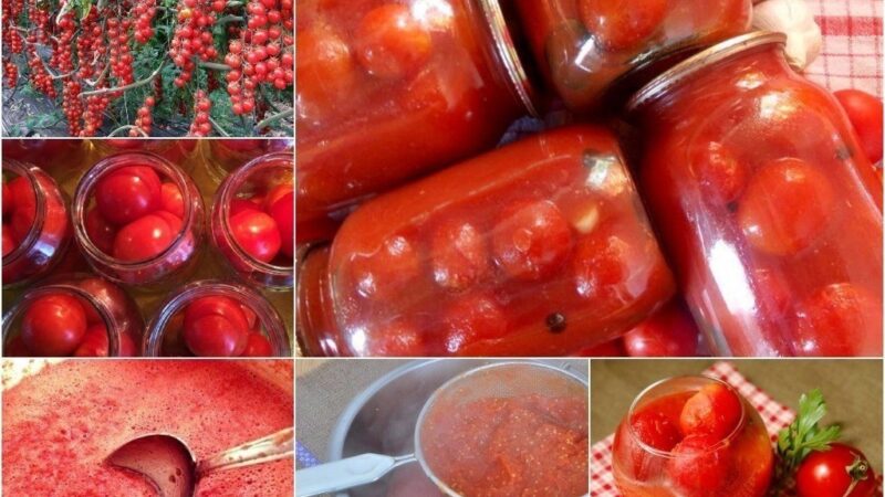 Помидоры в томатном соке