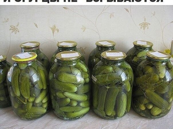 Огурцы, которые не взрываются