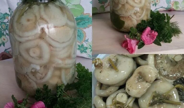 Как солить грузди