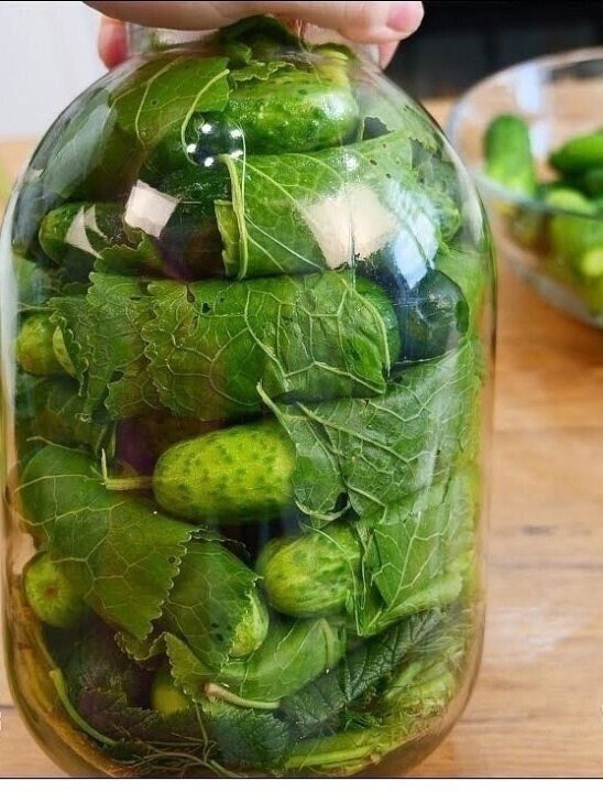 “Хрінові” огірки по-українськи