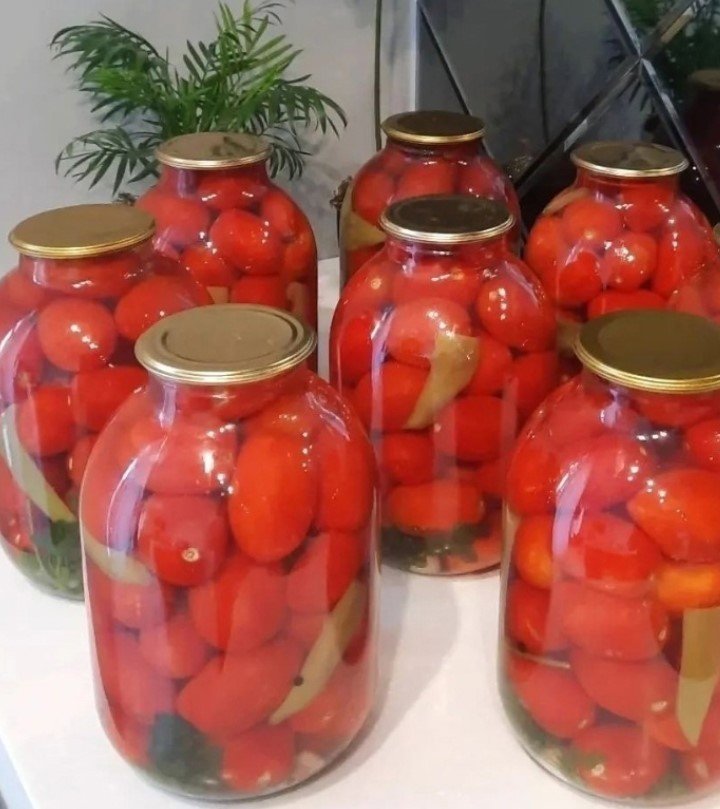 Помидоры на зиму